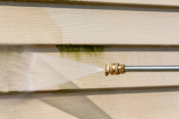 Best House Pressure Washing  in Cementon, PA